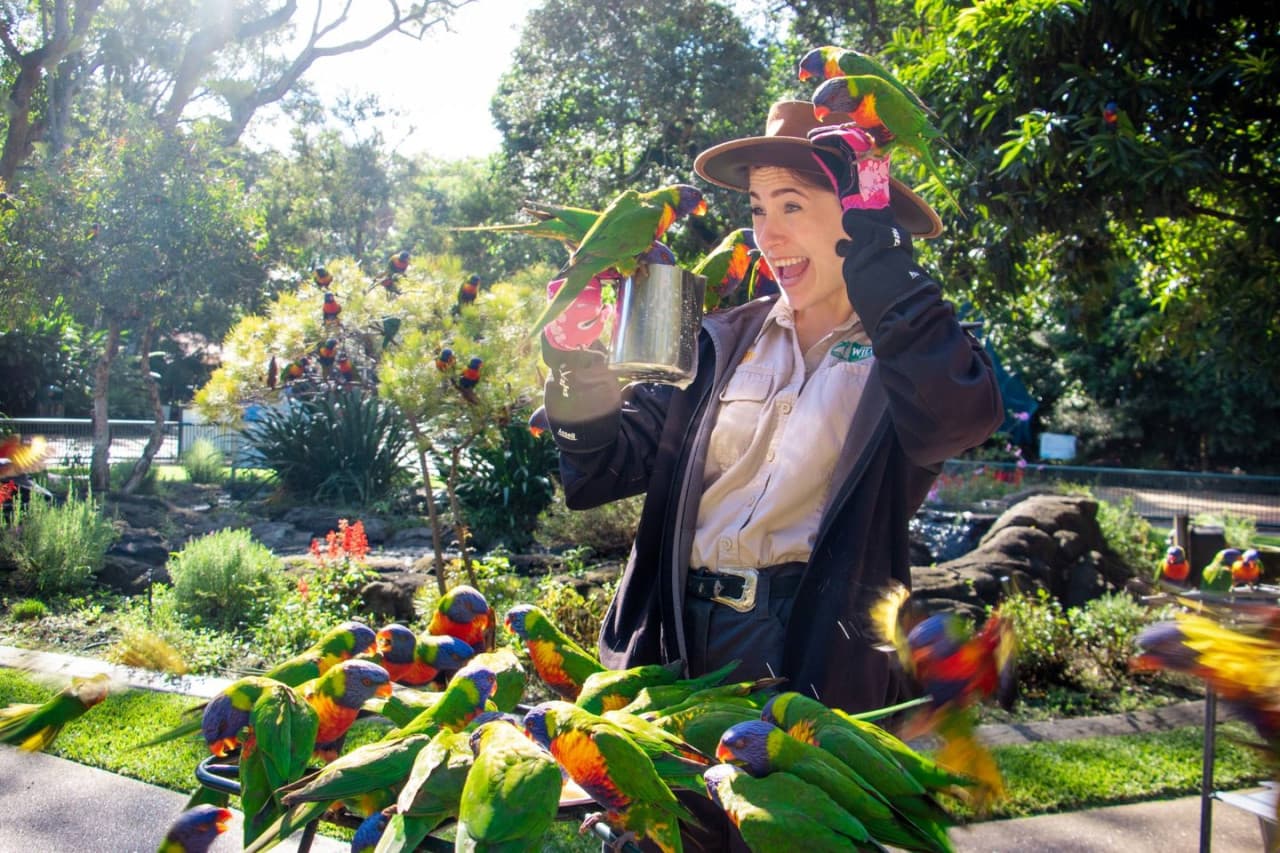 Билет в Currumbin Wildlife Sanctuary на Голд-Косте, фото 2