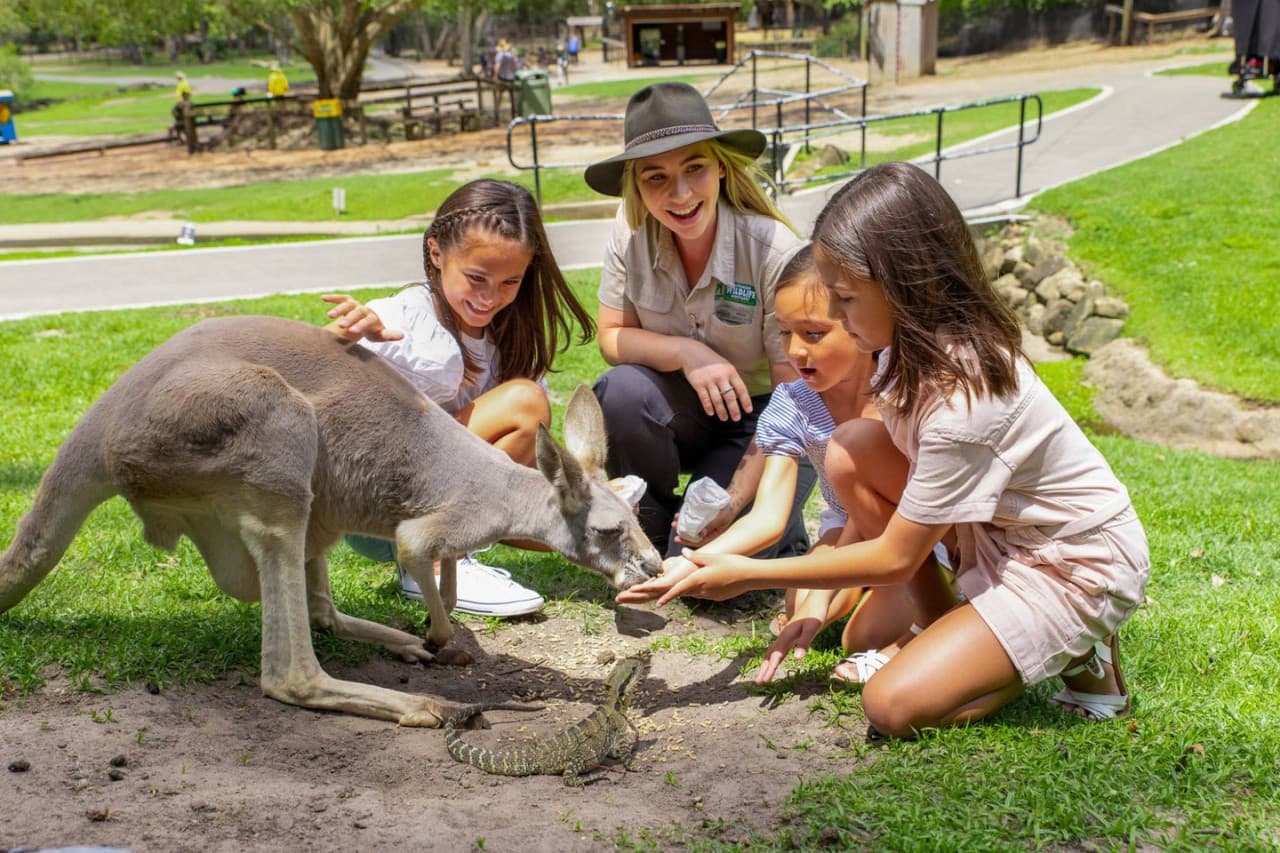 Билет в Currumbin Wildlife Sanctuary на Голд-Косте, фото 10
